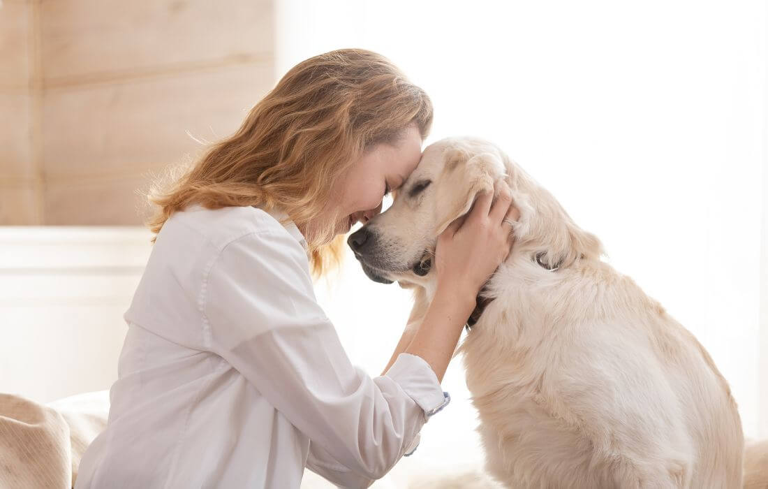 dog mom calming her dog
