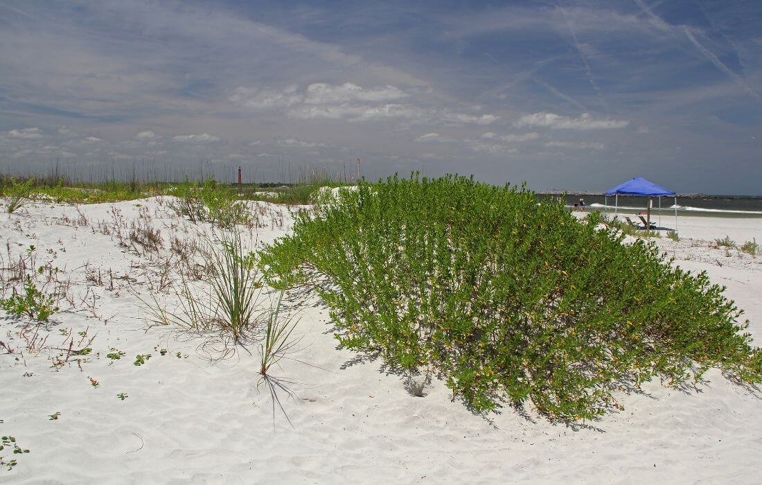 Smyrna Dunes Park