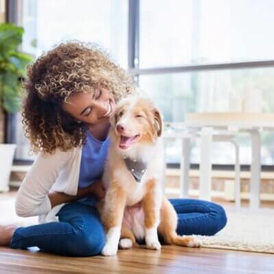 Young woman plays with new puppy at home