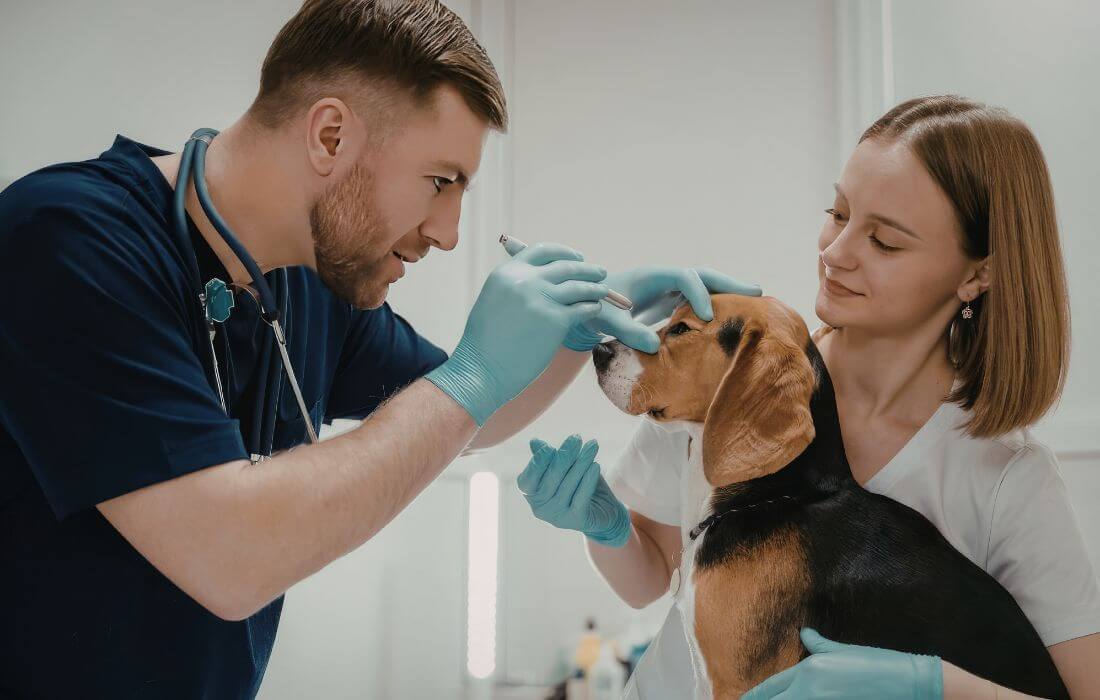 concerned dog owner with pet