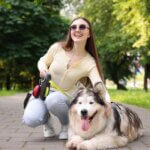 ultimate dog mom morning routine