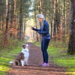 best dog training apps