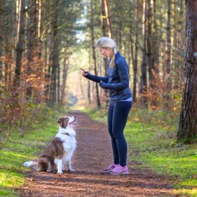 best dog training apps
