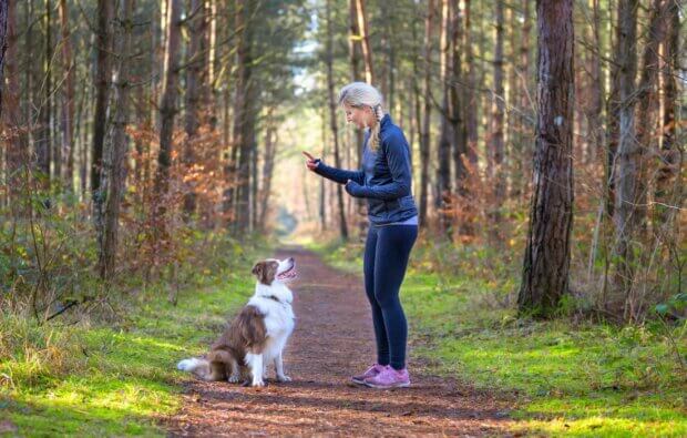 best dog training apps