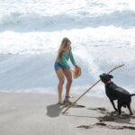 top dog friendly beaches in Florida