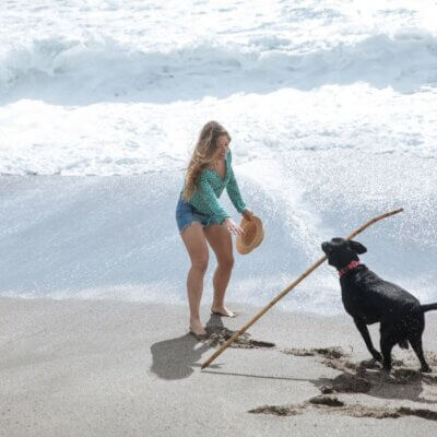 top dog friendly beaches in Florida