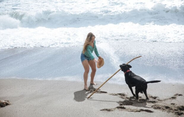 top dog friendly beaches in Florida