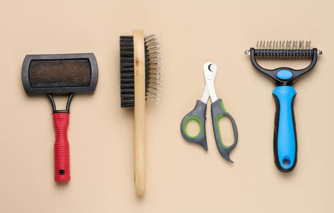 dog grooming tools