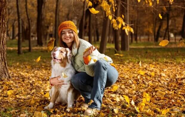 fall scene with a healthy dog with owner outdoors,