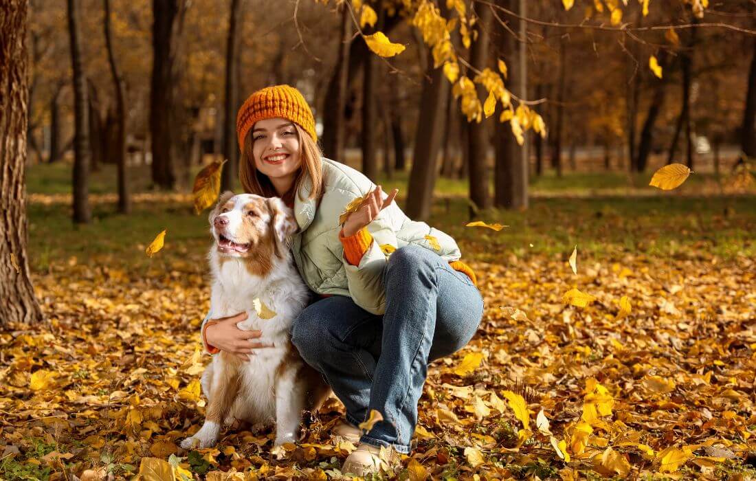 fall scene with a healthy dog with owner outdoors,