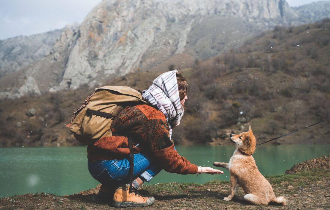 A Woman Shaking Hands with a Dog