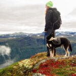 Woman and Dog on a Mountain Hike