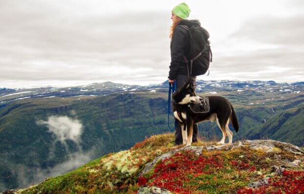 Woman and Dog on a Mountain Hike