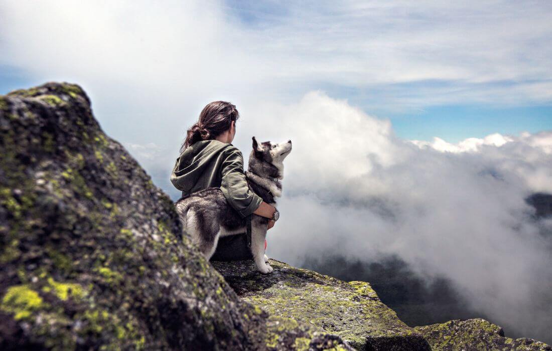 Woman with a Dog on Mountain Top